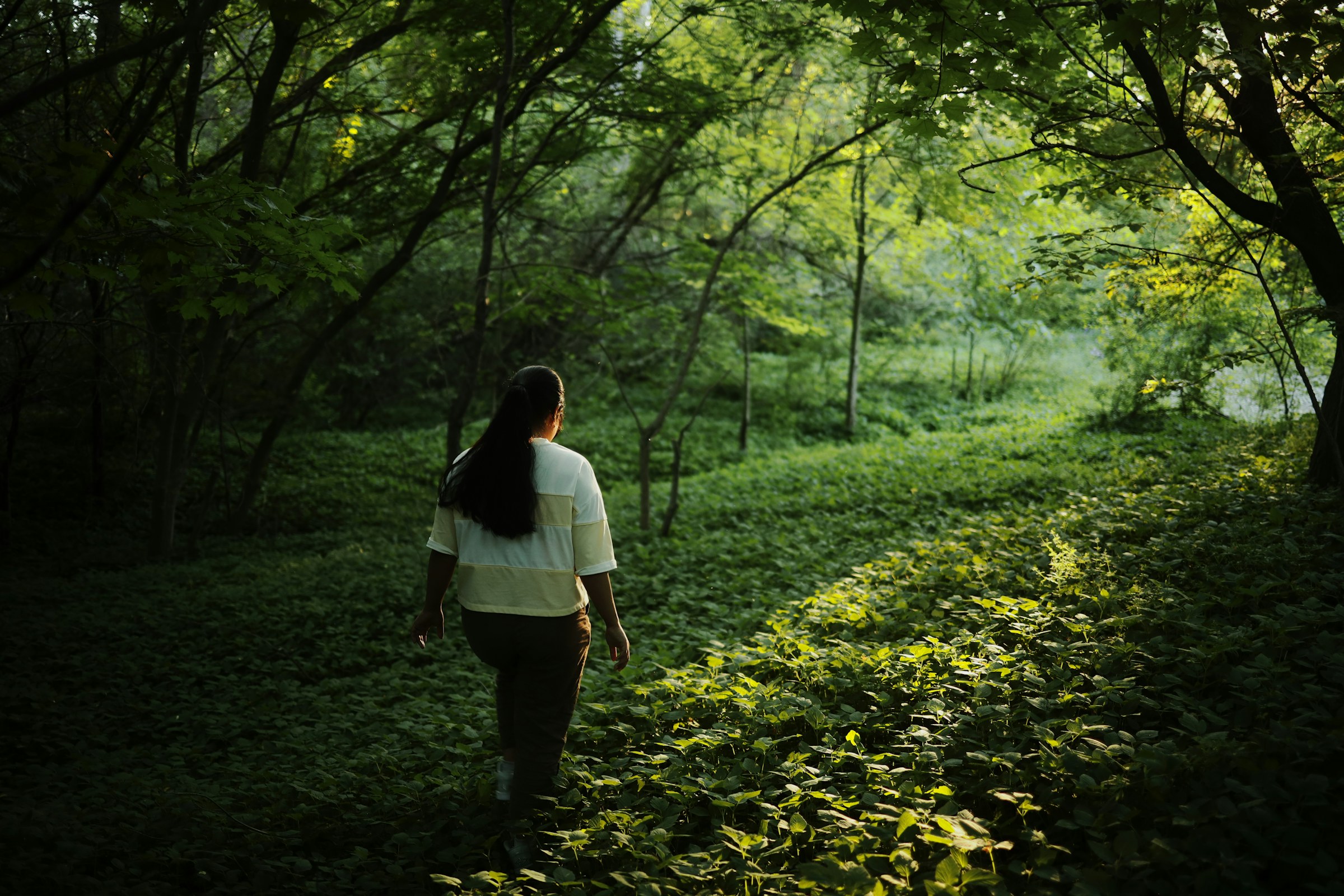 A woman walking through a sunlit forest path